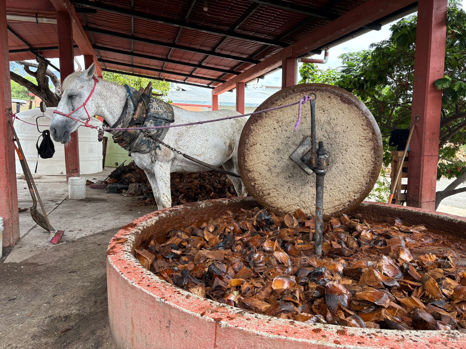 Ruta 3: Experiencia Artesanal del Mezcal en Matatlán